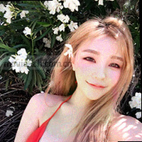 同心圆网格目录纹样